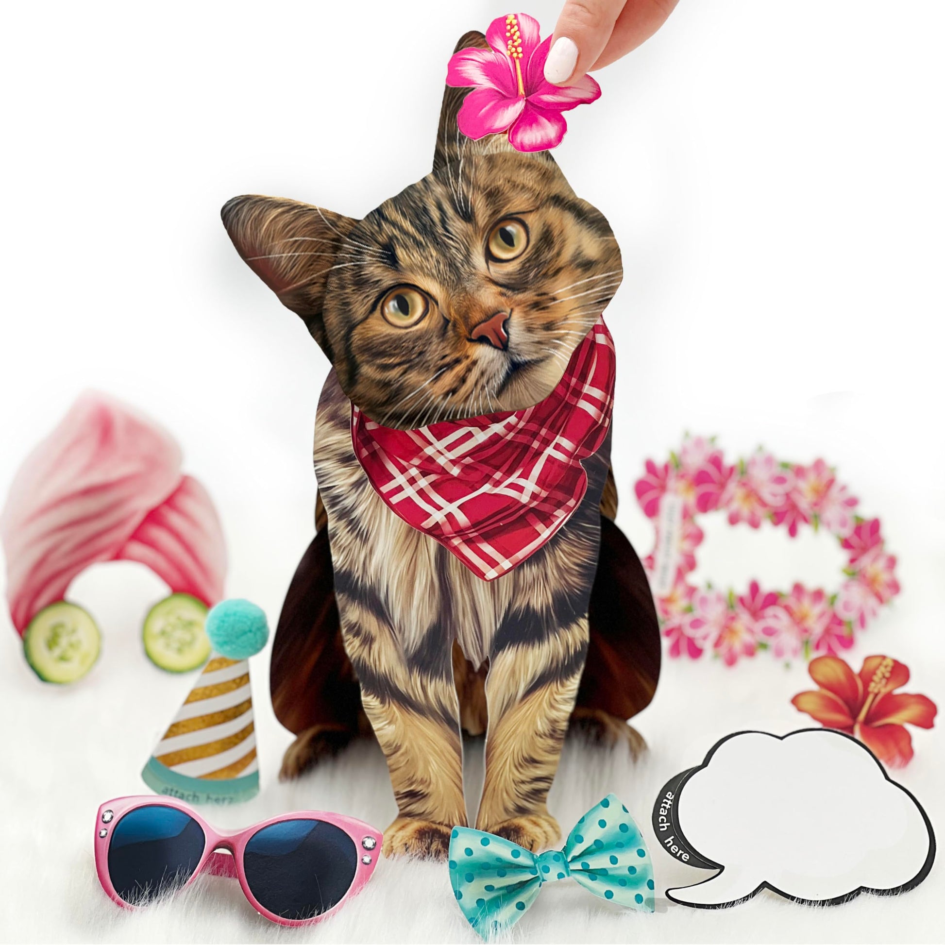 Freshcut Paper Pop Up Pet Cards, Gifts for Cat Lovers, Birthday Cards with Accessory Sheet, Note Card & Envelope, 3D Popup Greeting Card, Brown Tabby Cat