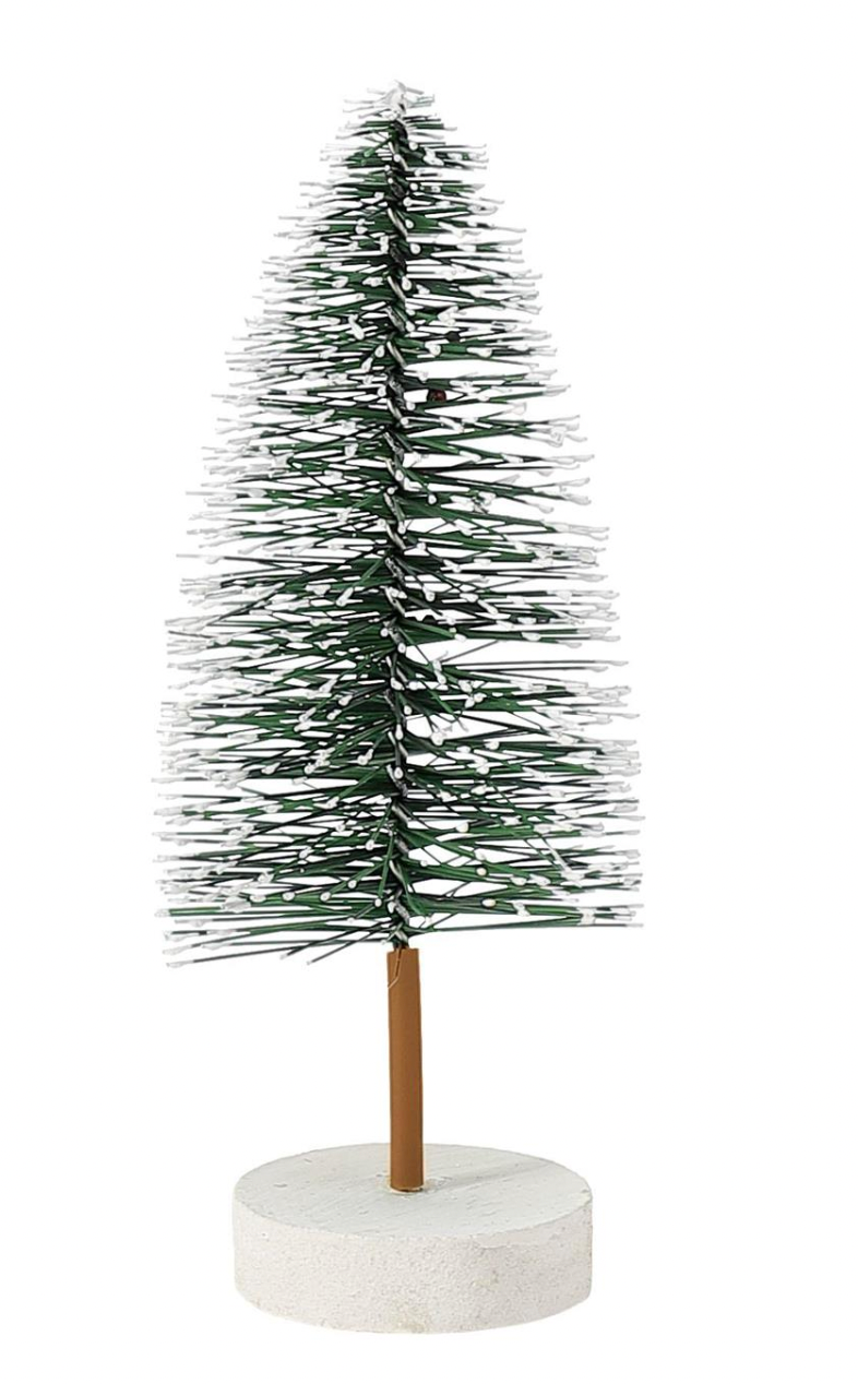 Small Pine Tree