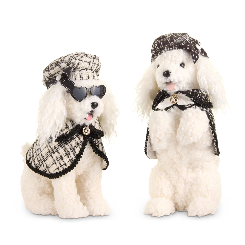 Sassy Mini Poodle **PREORDER **