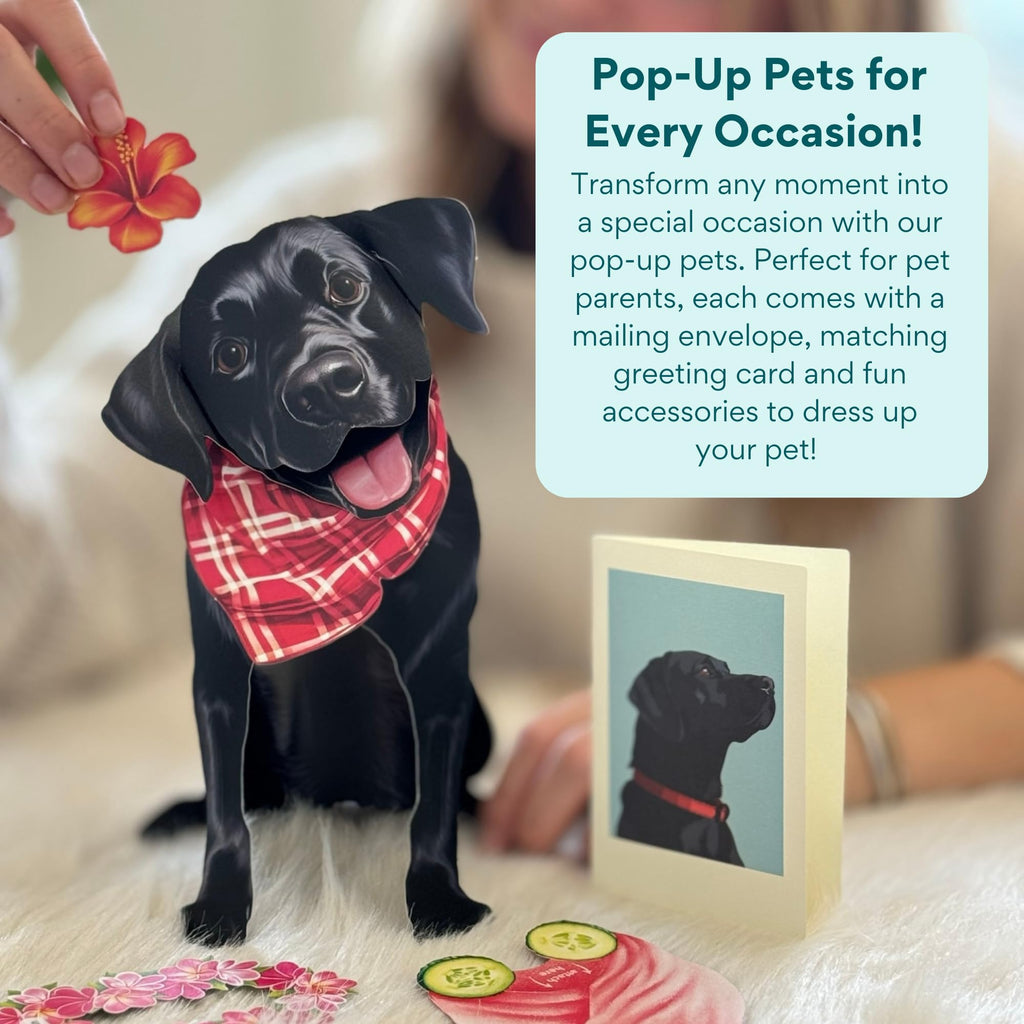 Freshcut Paper Pop Up Pet Cards, Gifts for Dog Lovers, Birthday Cards with Accessory Sheet, Note Card & Envelope, 3D Popup Greeting Card, Black Lab