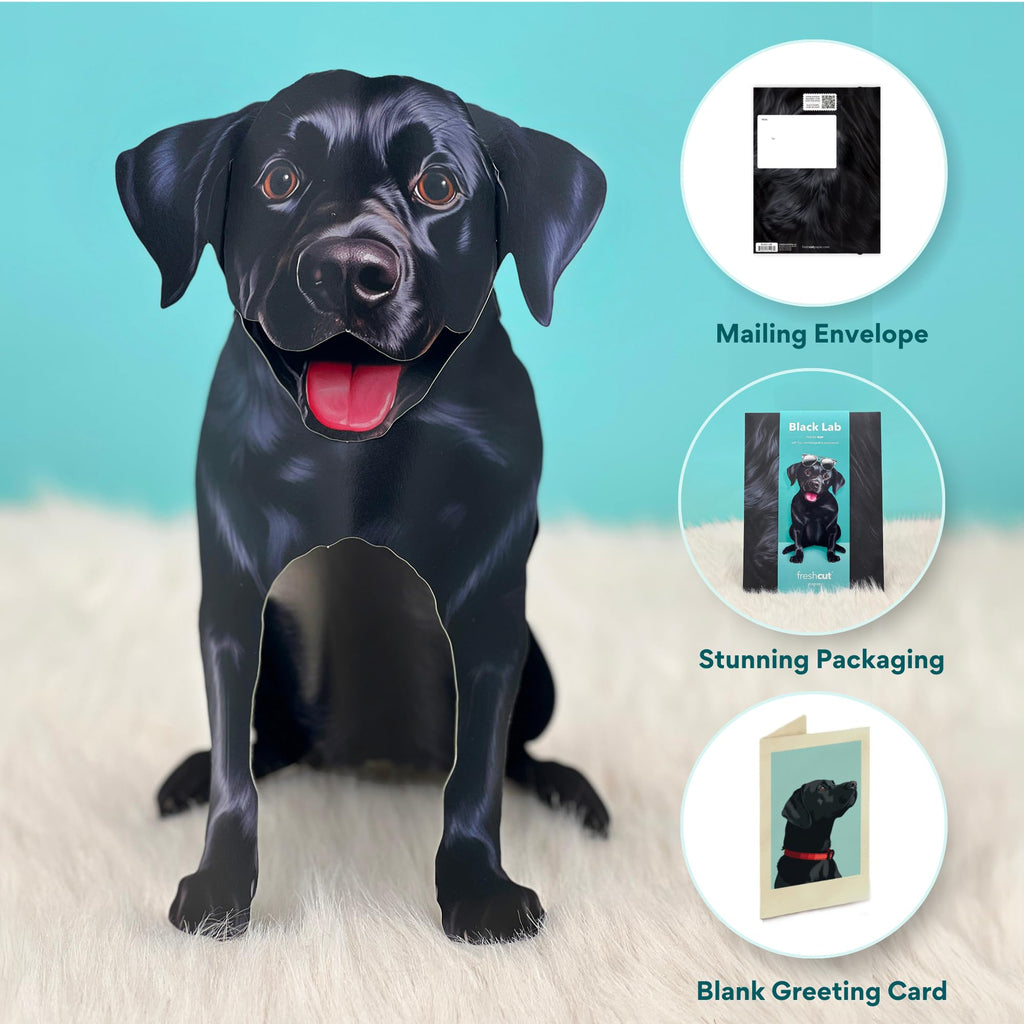 Freshcut Paper Pop Up Pet Cards, Gifts for Dog Lovers, Birthday Cards with Accessory Sheet, Note Card & Envelope, 3D Popup Greeting Card, Black Lab