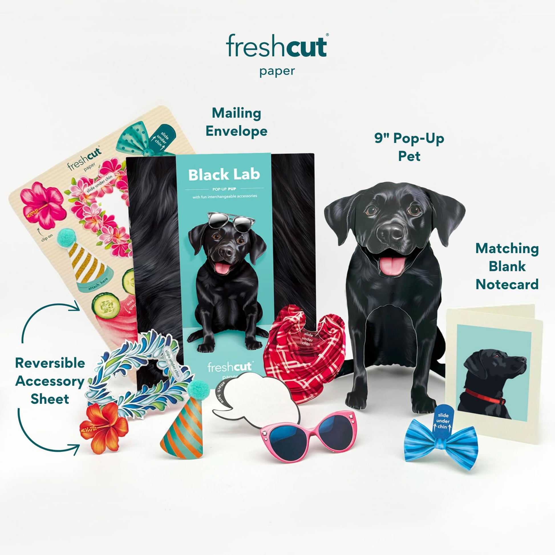 Freshcut Paper Pop Up Pet Cards, Gifts for Dog Lovers, Birthday Cards with Accessory Sheet, Note Card & Envelope, 3D Popup Greeting Card, Black Lab