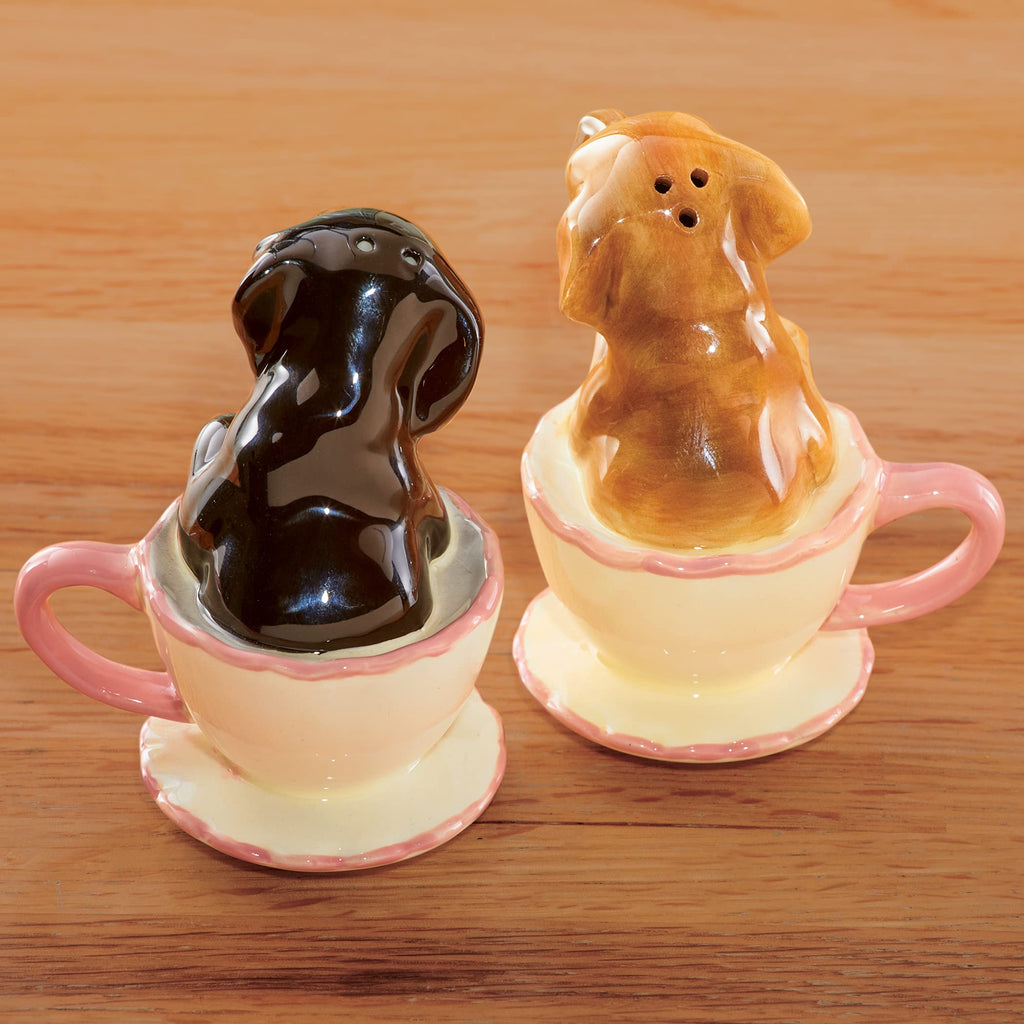 Pacific Trading Dachshund Puppies Tea Cup Puppy Love Salt and Pepper Shakers Set