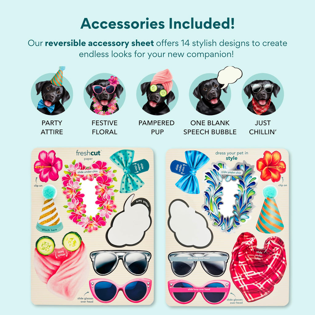 Freshcut Paper Pop Up Pet Cards, Gifts for Dog Lovers, Birthday Cards with Accessory Sheet, Note Card & Envelope, 3D Popup Greeting Card, Black Lab