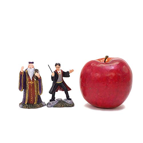 Department56 Potter Village Harry and Headmaster Figurine Set