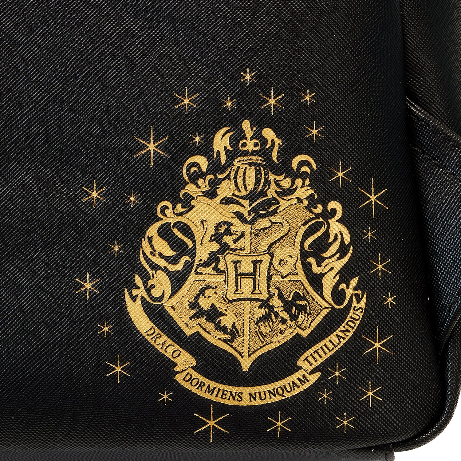 Loungefly Harry Potter Movie Posters Triple Pocket Mini Backpack